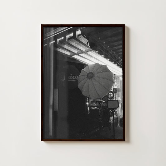 Noir in Focus